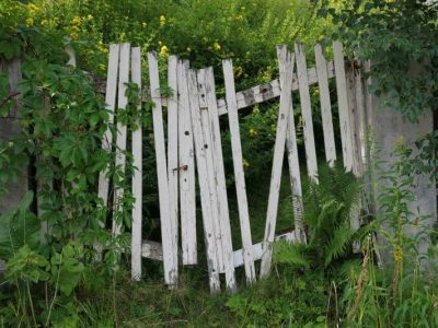 asbestos-removal-service-asbestos-fence-removal-2 asbestos-removal-service-asbestos-fence-removal-2
